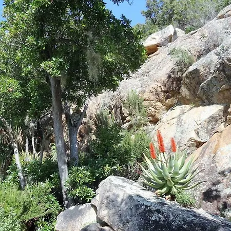A Altezza Palombaggia * Porto-Vecchio (Corsica)