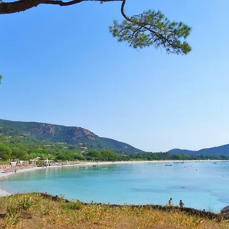 Hébergement de vacances A Altezza Palombaggia