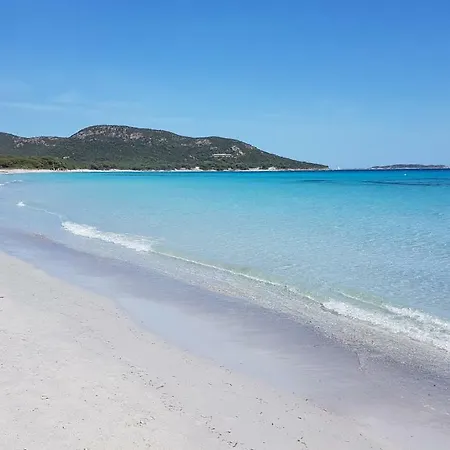 A Altezza Palombaggia Hébergement de vacances Porto-Vecchio (Corsica)