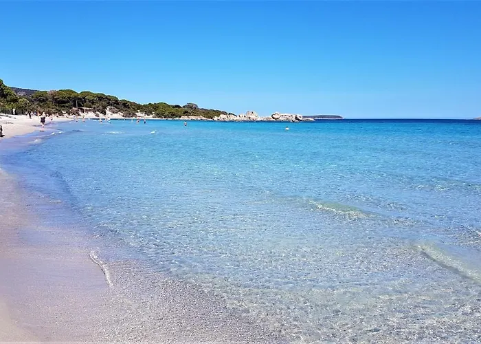 A Altezza Palombaggia Hébergement de vacances