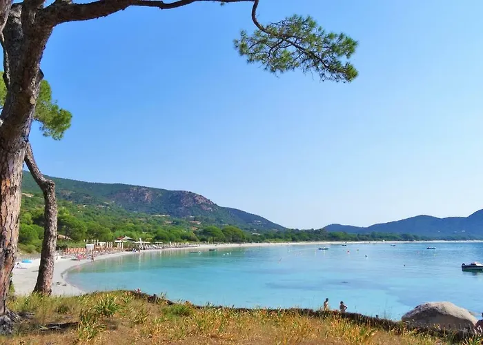 Hébergement de vacances A Altezza Palombaggia