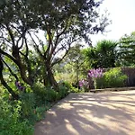 Ferienhaus A Altezza Palombaggia Porto-Vecchio (Corsica)