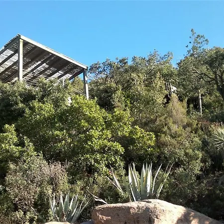 A Altezza Palombaggia