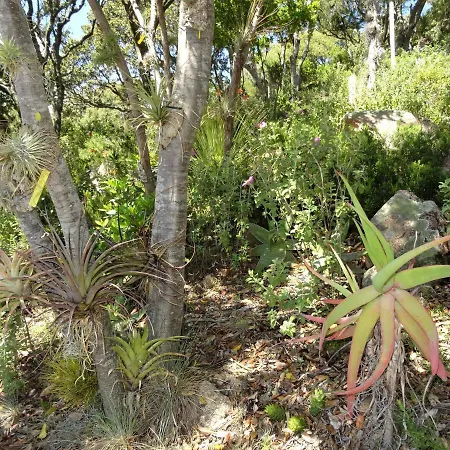 Feriehus A Altezza Palombaggia