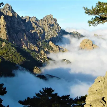 Feriehus A Altezza Palombaggia *