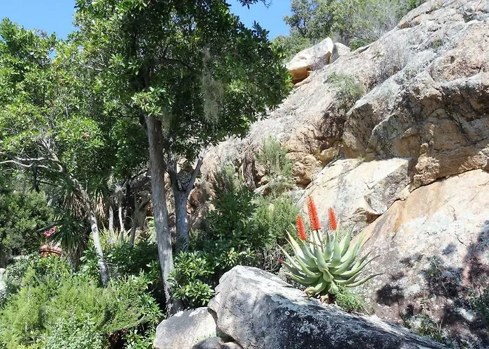 A Altezza Palombaggia * Porto-Vecchio (Corsica)