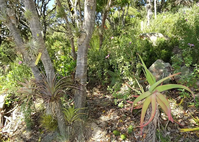 Tatil Evi A Altezza Palombaggia