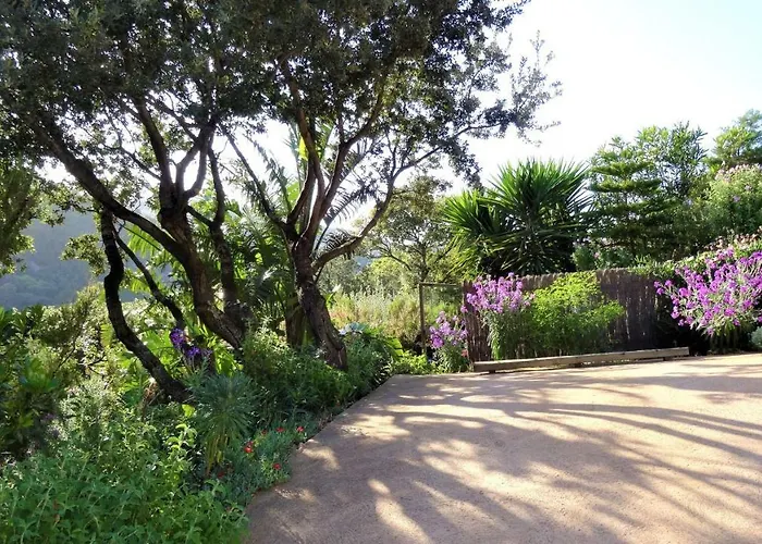 Tatil Evi A Altezza Palombaggia Porto-Vecchio (Corsica)