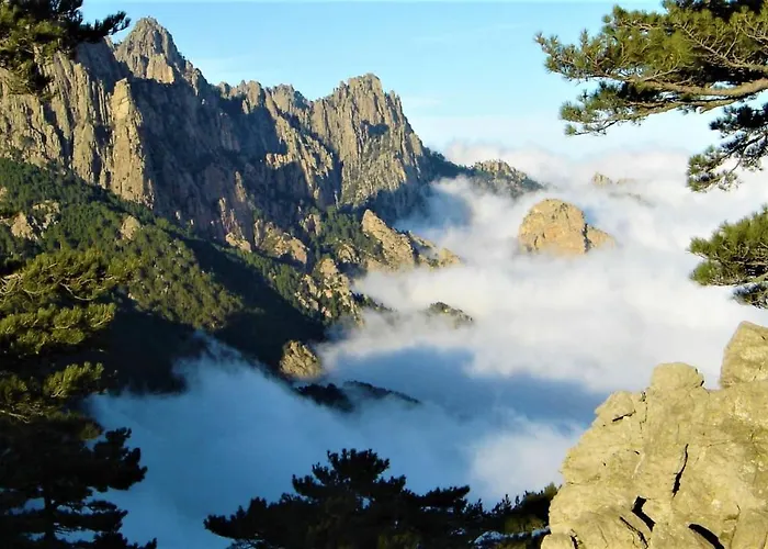 Holiday home A Altezza Palombaggia *